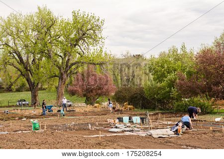 Community Garden