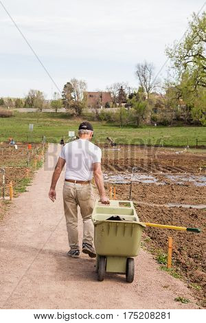 Community Garden