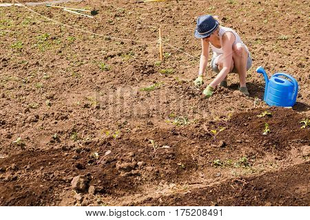 Community Garden