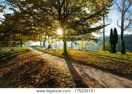 Autumn in park Aleksandriya. landscape. nobody. nature.