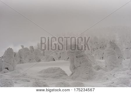 Snow Monster At Zao Mountain
