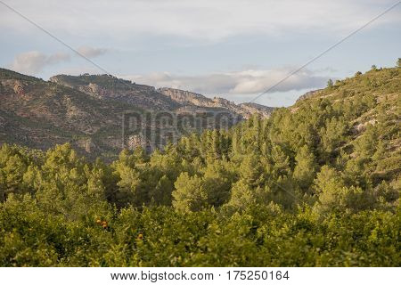 Landscape around Argelita in Castellon in Spain