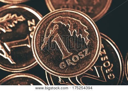 Polish Single Grosz Coin. Polish Currency Concept Photo.
