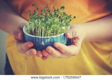 cuckooflower Easter in a small porcelain bowl in baby hands