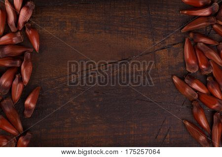 Pinhao - Brazilian Pine