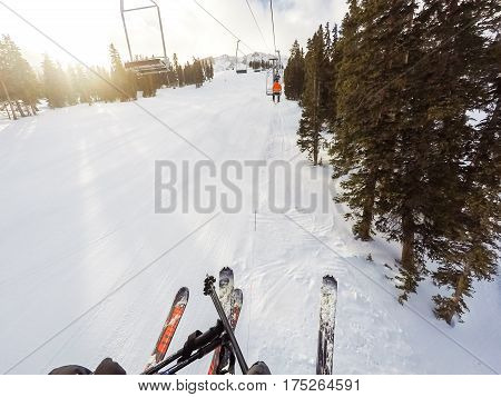 Alpine Skiing
