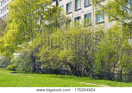 Residential house on the outskirts of St. Petersburg Kupchino district Russia.