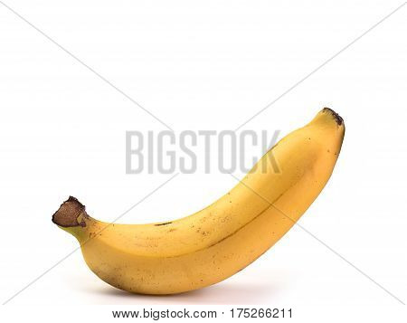 Cavendish banana (Kluai Hom thong) Banana famous in Thailand.