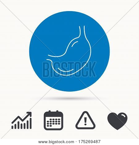 Stomach icon. Gastroscopy health sign. Anatomical body organ symbol. Calendar, attention sign and growth chart. Button with web icon. Vector