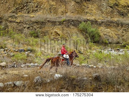 Latin Cowboy Riding Horse