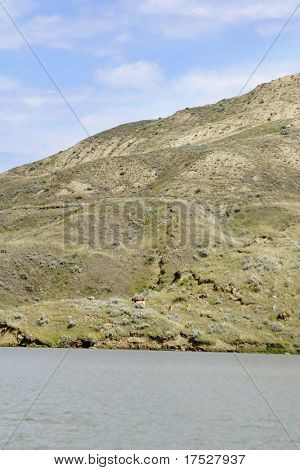 South Saskatchewan River Hills, sur le lac Diefenbaker, près de Beaver plat