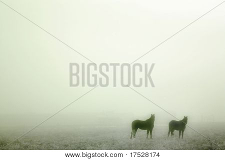 Sis--atları içerir tam boyutlu gürültü