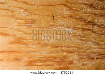 zvětralé dřevo pozadí - detail textury obrazu.