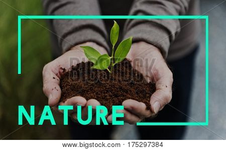 Nature Ecology Natural Environment Concept