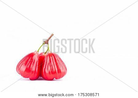 ripe red rose apple  on white background healthy rose apple fruit food isolated