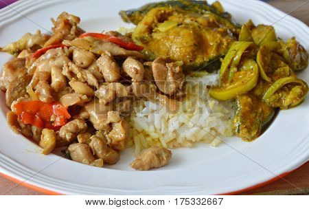 spicy stir fried chicken with basil leaf and catfish curry on rice