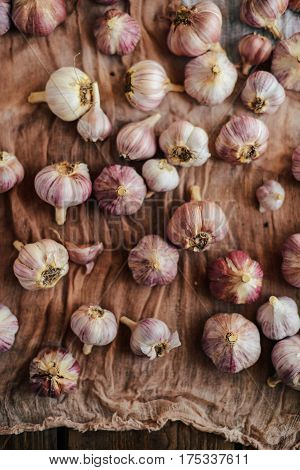 Close-up Garlic Bulbs And Garlic Cloves On Wodeen Background. Ga