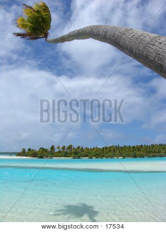 Palm bükme