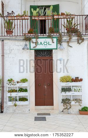 Entrance Door Of A House Decorated With Cactus Plants