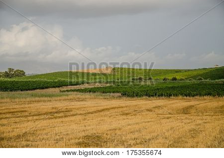 A beautiful Landscape in Sicily, Menfi (Ag)