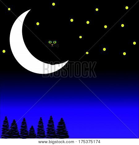 Black cat sitting on the moon on blue- purple background. Vector illustration.