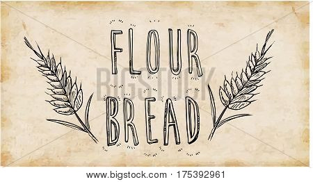 Vector illustration of a bakery shop collection