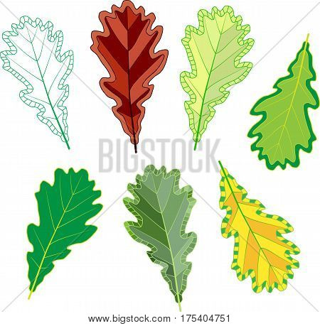 colorful mosaic oak leaves. isolated. easy to modify. vector illustration.