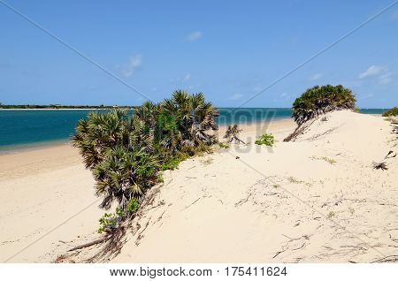 Kenya Beautiful sand beach on the Lamu archipelag