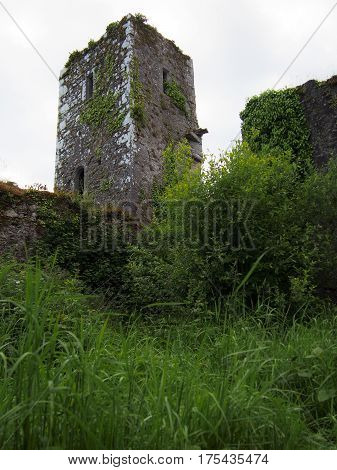 Tower At Ruins Of Bridgetown Priory In Cork County Ireland