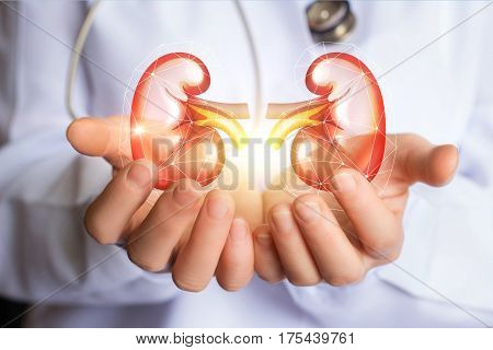 Doctor Supports Kidneys Healthy.