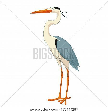 Vector image of the Cartoon smiling Heron