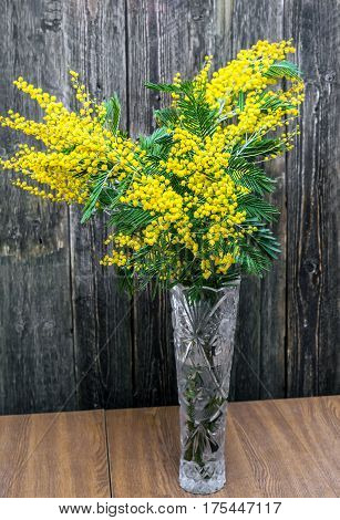 Beautiful bright bouquet of mimosa on a wooden background. Spring bouquet with yellow flowers and green leaves. Spring Festival.