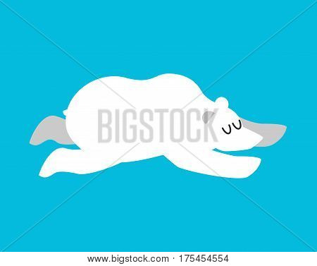 Sleeping Polar Bear. Arctic And Antarctic Animals Sleep. Sleepy Wild Beast