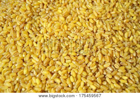 Large bulgur, large grain bulgur, whole rice bulgur, yellow bulgur, bulgur pilaf, turkey bulgur, turkish bulgur.Natural and organic bulgur