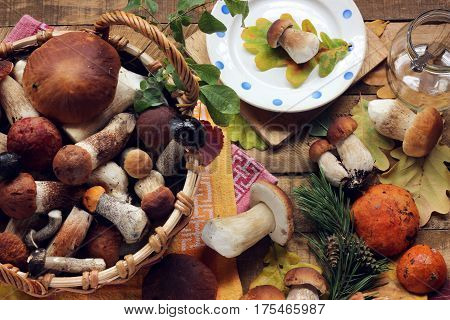 mushrooms scattered on the table top view. still life with mushrooms. Boletus luteus.