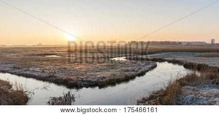 Cane Cultivation in Giethoorn with nature reserve with winter meadow during sunrise in National Park Weerribben-Wieden Netherlands