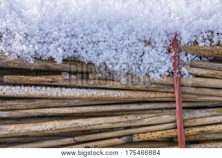 Hoarfrost on Cane Cultivation in Giethoorn in wintertime in National Park Weerribben-Wieden The Netherlands.