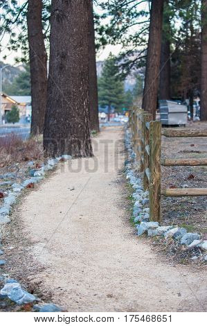 Portrait view of stone lined walking path in Wrightwood, California.
