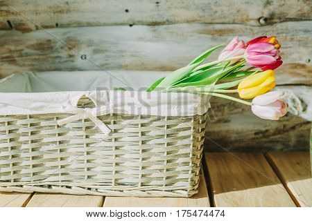 tulips in wooden backet. old baskground .