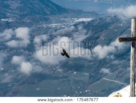 Aerial View Of Bird Flying Over The Land