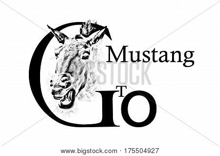 Head of a horse and the inscription Go Gto Mustang