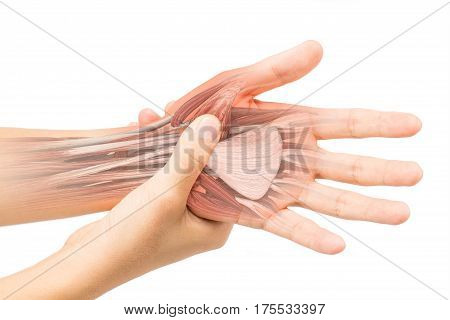 wrist muscle pain white background wrist injury