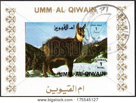 UKRAINE - CIRCA 2017: A stamp printed in UMM AL QIWAIN United Arab Emirates shows lama series animals circa 1973