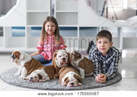 Brother and sister lying on the floor with puppies of English bulldog and play.