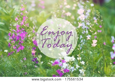 Inspirational motivation quote Enjoy today on sunny background of wild bluebell flowers