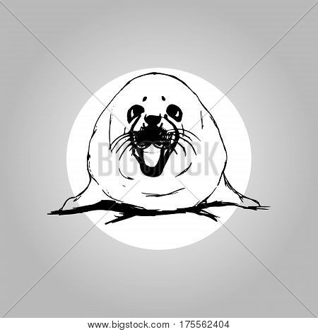 Belek is a baby seal on a white background, graphic, vector