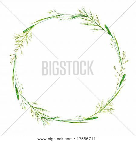 Wreath of a meadow herbs. Garland of a spike and timothy grass. Watercolor hand drawn illustration.
