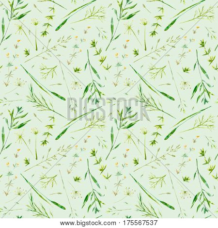 Floral seamless pattern of a meadow herbs and flowers. Packaging of a spike and timothy grass. Watercolor hand drawn illustration.Green background.