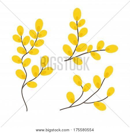 Yellow willow branches. Vector illustration in flat style. Design element