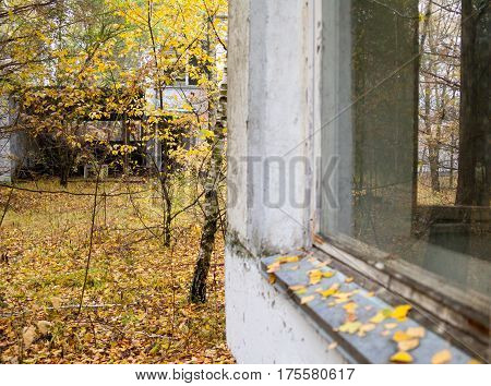 Pripyat. Ghost town in Chernobyl Exclusion Zone. Abandoned houses.